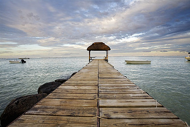 瑞典农场主的七个女儿|“绿色出行新风尚,七姐妹新能源汽车引领环保潮流”-2