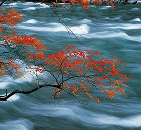 国产乱轮|国产新宠引发热潮,全新车型助力国产汽车迈向世界舞台-2