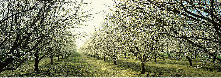 卡在洗衣机的女孩｜汽车安全隐患引关注：小女孩意外卡物事件警示家长与车企加强安全防护-3