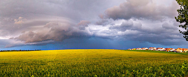 一个释放蝌蚪的网站｜个性化定制，科技赋能，汽车新纪元，体验非凡之旅-2