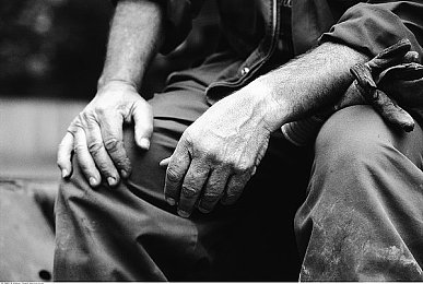 男生和女生叉叉｜汽车市场新视角：揭秘男女消费者购车差异，助力品牌营销精准发力-1