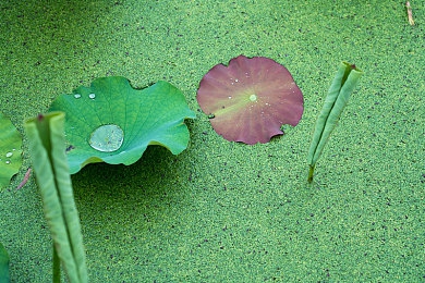 XDEVIOS中文免费版安装：智能升级，驾驶无忧：车载娱乐系统新宠，车主体验再升级-3