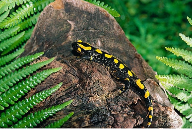 卡在洗衣机的女孩｜汽车安全隐患引关注：小女孩意外卡物事件警示家长与车企加强安全防护-4