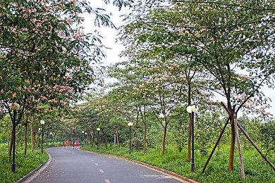 黄色软件app下载3.0.3免费装妆2025,创新引领潮流，免费装妆2025助力车主享受智能驾驶新体验-4