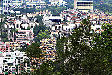 好看的2019年中文｜2019风华绝代，设计科技双翼，驾驭未来潮流之选-1