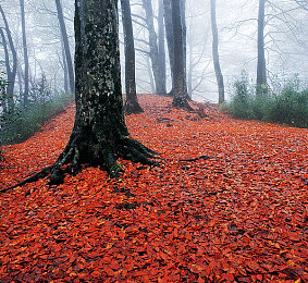 生活中的玛丽经典k8经典|经典再现,玛丽K8轿车融合现代魅力,演绎驾驭新境界-2