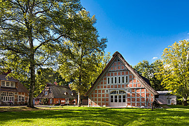 榴莲视频污,创意碰撞:榴莲元素融入汽车界,新媒体时代下独特视频走红-1