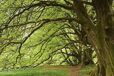 女生让男生诵自己｜“女性专属美学与智能科技，全新车型引领汽车个性化定制潮流”-3