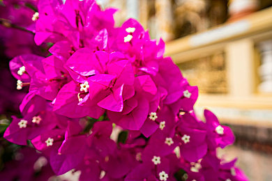 好·色·先·生tv,都市新宠来袭:引领潮流科技,经典外观,高效动力新车备受期待-1