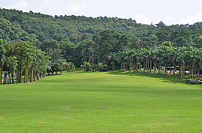 一个母亲7中字头强华驿｜“强华驿汽车新宠崛起：7位数以下价格，家庭用车性价比之王，安全可靠，服务周到”-1