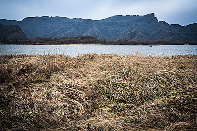 污软件app｜汽车行业焕新力作：智能助手助力车辆管理，创新科技引领出行未来-2