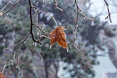 两个人看的www：“双座新能源汽车引发关注：独特设计、卓越性能，绿色出行新体验”-1