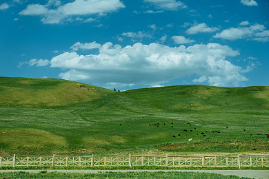 夜间禁用100款应用|科技助力夜间行车安全,我国严令禁用百款手机应用,守护生命防线-3