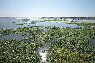 男生和女生在一起差差|驾驶激情与时尚舒适,汽车市场演绎男女消费新篇章-4