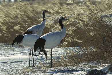 三级产区和二级产区的使用与注意事项｜汽车零部件精挑细选，品质保障，驾驭无忧-2