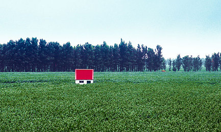 男生的香蕉插入女生的桃子｜新能源汽车爆发式增长，汽车产业弯道超车机遇与挑战并存-1