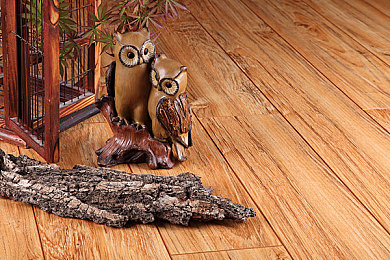 男同视频网站：汽车资讯新视界，新能源汽车改装与安全知识一网打尽-1