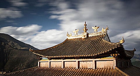 男生和女生叉叉｜汽车市场新视角：揭秘男女消费者购车差异，助力品牌营销精准发力-3