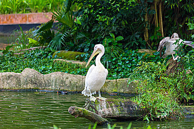 女生不穿衣服的软件｜科技新衣，智能定制，汽车时尚新篇章-1