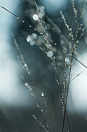 成人片AV｜颠覆视觉，驾驭潮流——时尚智控新锐座驾-3