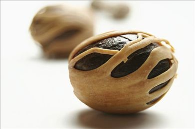 女生不穿衣服的软件：汽车跨界融合新潮流：智能化个性化定制引领未来出行趋势-2