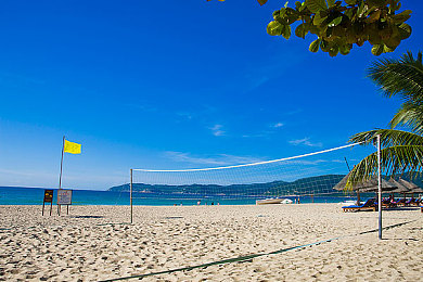 黄网站下载3.0.3免费下载安装大全,汽车维修利器：全面免费软件助车主轻松应对故障-2