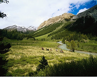 男生和女生在一起差差|驾驶激情与时尚舒适,汽车市场演绎男女消费新篇章-1