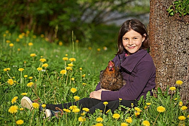 成色网站,“二手车市场新航标，透明评估护航购车之旅”-2