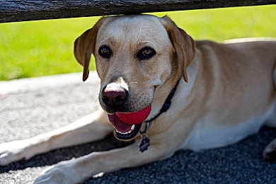 女生让男生诵自己｜“女性专属美学与智能科技，全新车型引领汽车个性化定制潮流”-1