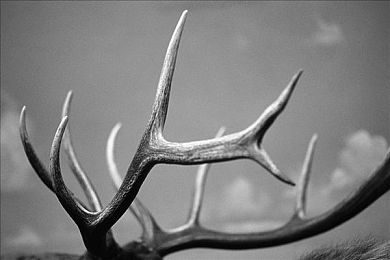 娇妻终于让我一起3p了｜“共驰山水间，动力性能精准演绎幸福之旅”-3