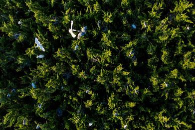 男生和女生叉叉｜汽车市场新视角：揭秘男女消费者购车差异，助力品牌营销精准发力-2