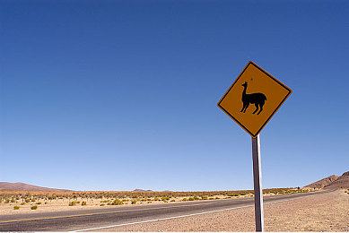 男人捅女人app｜汽车新锐应用引发热议：独特视角引领驾驶安全新体验-2