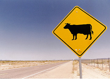 2019最好的看的中文｜2019年爆款车型齐聚，中国汽车品牌崛起，彰显非凡实力与价值-1