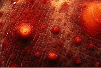 夜间禁用100款应用|科技助力夜间行车安全,我国严令禁用百款手机应用,守护生命防线-4