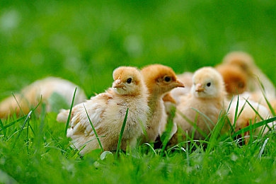 生活中的玛丽经典k8经典|经典再现,玛丽K8轿车融合现代魅力,演绎驾驭新境界-1