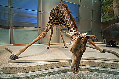 被男按摩师摸到花蒂喷出来|汽车电子系统升级:精准刺激,智慧定制,安全稳定体验升级-3