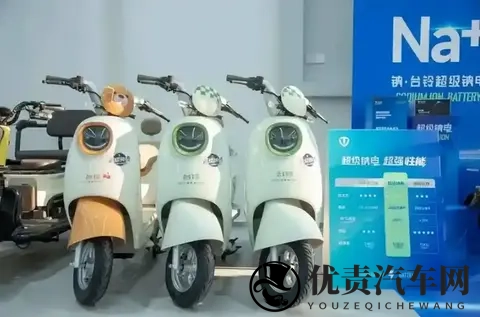 第1批换钠电池的车主，电动车怎么样了？行内人：这3类人没必要换-2