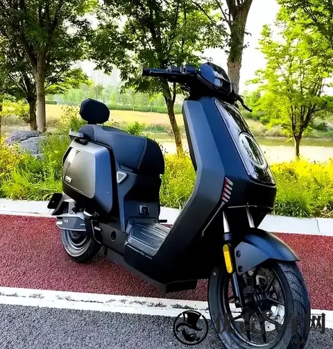 新旧国标电动车更替，两种车型有什么区别？对这3类车主造成影响-2