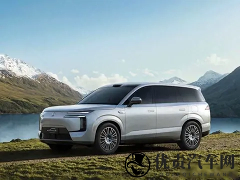 插混车在欧洲被骂骗补，中国车主却当宝用，这事儿真挺魔幻-3