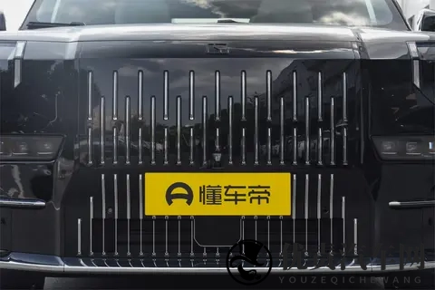 11月给家人选豪礼？豪华MPV极氪009宜商宜家实测+限时福利分享-2