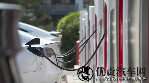 特斯拉因“安全”问题被温哥华国际车展除名-1