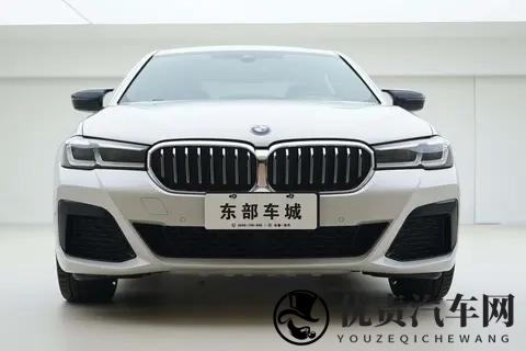 22万拿下宝马5系,体验行政级座驾的乐趣-3