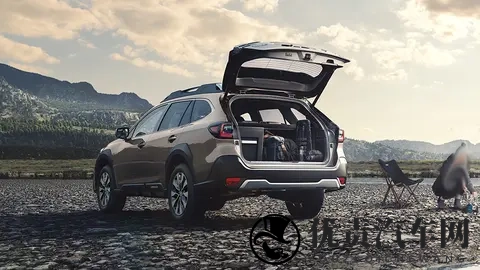 第216期：到底是谁在买斯巴鲁傲虎？-2