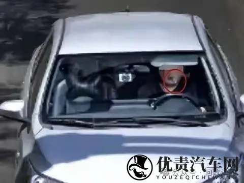 无锡男子开车叼牙线被罚，网友吵翻！-1