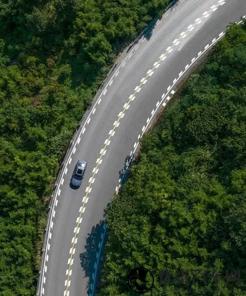 如何使用路肩和护栏预判弯道角度?-3