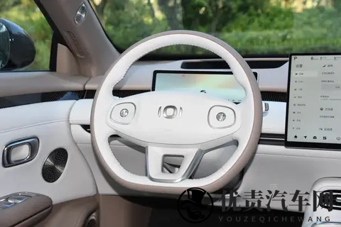 10月我国新能源汽车销量首次超汽车新车总销量的50%-1