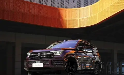 谁才是国内“越野一哥”？坦克、方程豹、猛士10月销量出炉-1