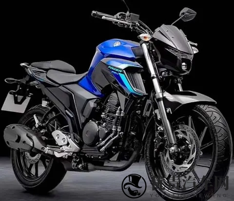 雅马哈飞致250复出 拼的不是马力 是省油能走天下的底气-2