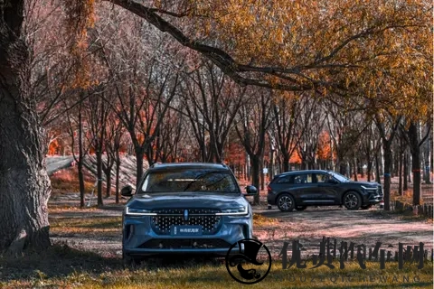 现场看测试场对比：航海家稳得像动画，分贝数据不掺水-1