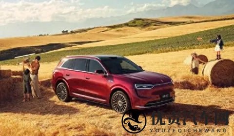 10月中国高端增程SUV市场销量排名:问界完全没对手-1